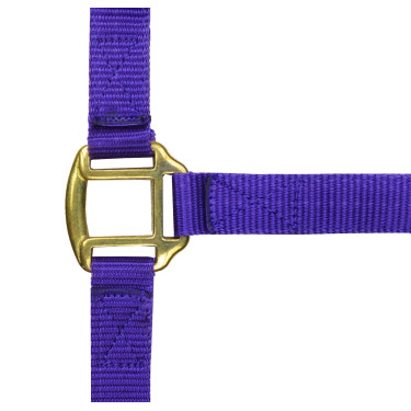 Cabezada de nylon forrada de cuero Púrpura Cabezada de nylon forrada de cuero Púrpura