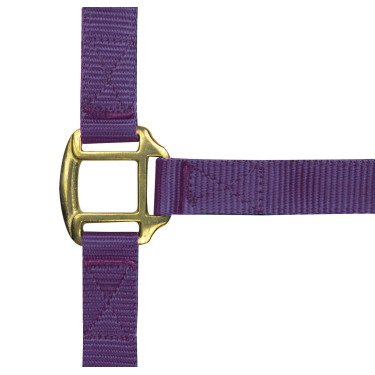 Cabezada de nylon forrada de cuero Púrpura Cabezada de nylon forrada de cuero Púrpura
