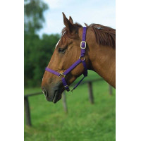 Cabezada de nylon forrada de cuero Negro