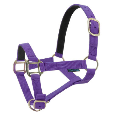 Cabezada de nylon forrada de cuero Púrpura Cabezada de nylon forrada de cuero Púrpura
