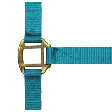 Cabezada de nylon forrada de cuero Turquesa Cabezada de nylon forrada de cuero Turquesa