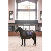 Vendas de polo Imperial Riding Cosmic Sparkle Marino Azul marino
