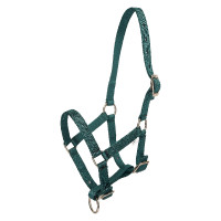 Cabezada potro HV Polo Nena Verde pato