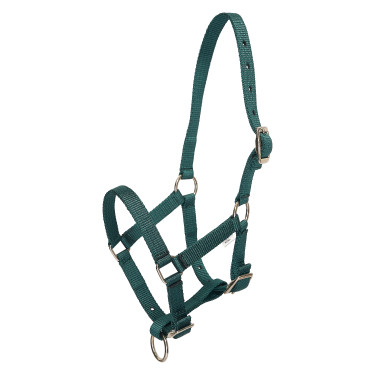 Cabezada potro HV Polo Nena Verde pato