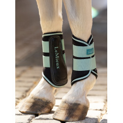 Protectores de tendón cerrados Mini LeMieux Aqua Protectores de tendón cerrados Mini LeMieux Aqua