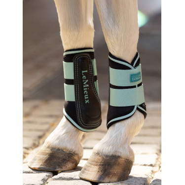 Protectores de tendón cerrados Mini LeMieux Aqua Protectores de tendón cerrados Mini LeMieux Aqua