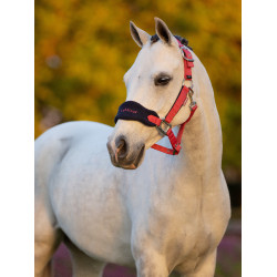 Cabezada de cuadra borreguillo Mini LeMieux con ramal Arándano Rosa