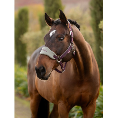 Cabezada de cuadra Lemieux Vogue Ciruela damascena Violeta