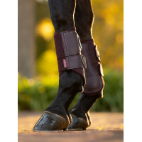 Guarniciones flexibles LeMieux mesh Arika Ascuas Burdeos Guarniciones flexibles LeMieux mesh Arika Ascuas Burdeos