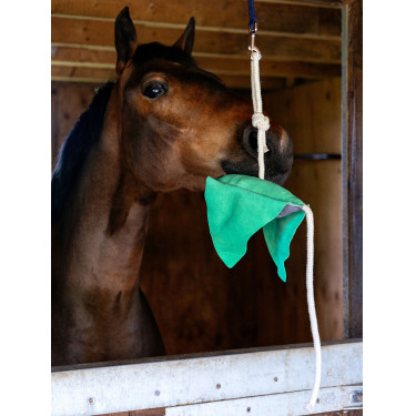 Juguete para caballos LeMieux Raya