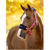 Cabezada y ramal LeMieux Vogue Esme Maíz azul Cabezada y ramal LeMieux Vogue Esme Maíz azul