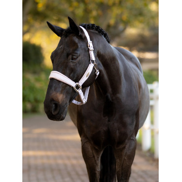 Cabezada LeMieux Versailles Lila Violeta