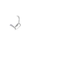 Cabezada LeMieux Versailles Lila Violeta