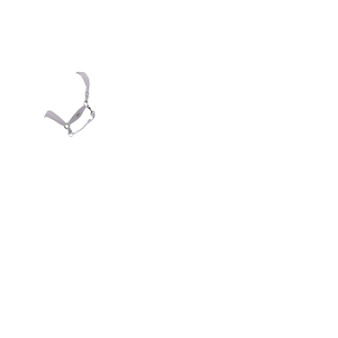 Cabezada LeMieux Versailles Lila Violeta