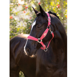 Cabezada LeMieux Versailles Arándano Rosa