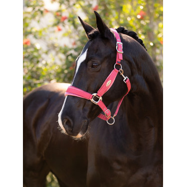 Cabezada LeMieux Versailles Arándano Rosa