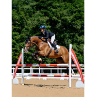 Almohadilla de montar LeMieux Loire Close Contact Square CSO Benetton Azul