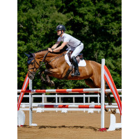 LeMieux Mantilla de competición Close Contact - Algodón Blanco