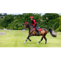 LeMieux Suede Close Contact Square Reflective Azul marino