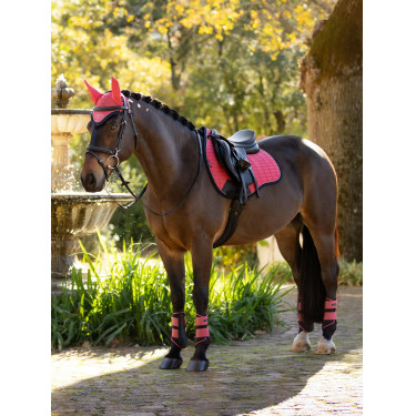 LeMieux Cuadra GP de Ante Reflectante Arándano Rosa LeMieux Cuadra GP de Ante Reflectante Arándano Rosa
