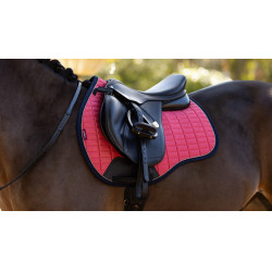 LeMieux Cuadra GP de Ante Reflectante Arándano Rosa LeMieux Cuadra GP de Ante Reflectante Arándano Rosa
