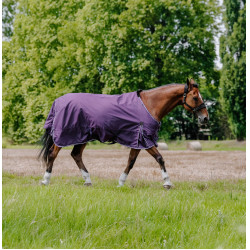 Manta EQUITHÈME - TYREX Aisance 600D Ciruela Violeta