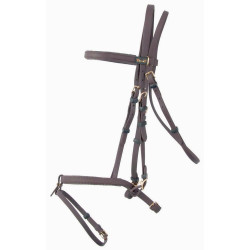 Cabezada Biotack T de T Castaño