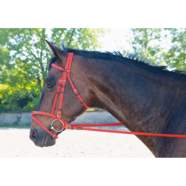 Trensenzaum Biotack® T de T