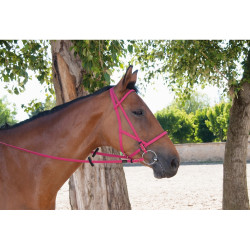 Trensenzaum Halfter Biotack® T de T Fucsia Rosa