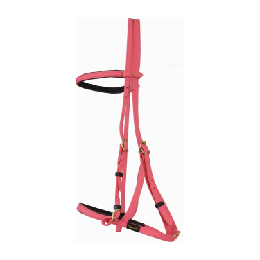 Cabezada duo Biotack T de T Rosa