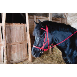 Trensenzaum Halfter Biotack® T de T Roja Rojo