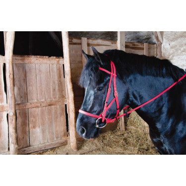 Trensenzaum Halfter Biotack® T de T Roja Rojo