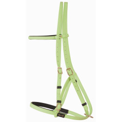 Cabezada duo Biotack T de T Verde