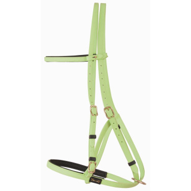 Cabezada duo Biotack T de T Verde