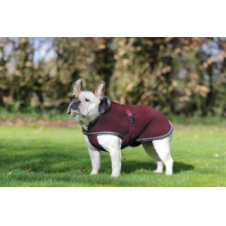 Cubreperro Show-Line Bucas Burdeos / gris