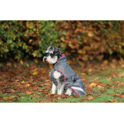 Manta para perro Bucas Freedom 50g Gris humo