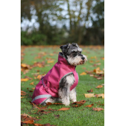 Capa para perro Bucas Freedom 300g Frambuesa Rojo