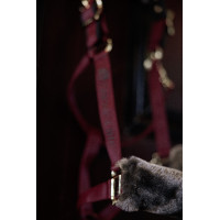 Halster Bucas Show-Line Burdeos / negro