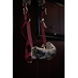 Halster Bucas Show-Line Burdeos / negro