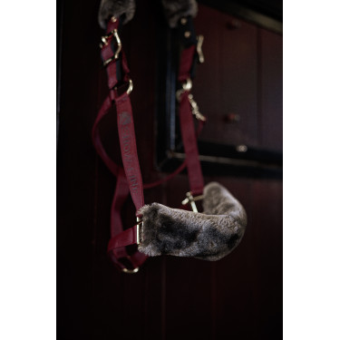 Halster Bucas Show-Line Burdeos / negro