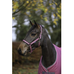 Cabezada Bucas Dublin Frambuesa Rojo Cabezada Bucas Dublin Frambuesa Rojo