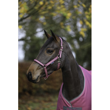 Cabezada Bucas Dublin Frambuesa Rojo Cabezada Bucas Dublin Frambuesa Rojo