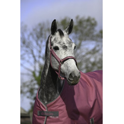 Cabezada Bucas Dublin Frambuesa Rojo Cabezada Bucas Dublin Frambuesa Rojo