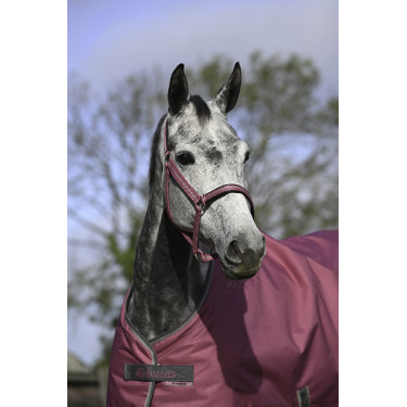 Cabezada Bucas Dublin Frambuesa Rojo Cabezada Bucas Dublin Frambuesa Rojo