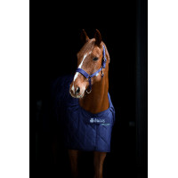 Manta de cuadra Bucas Cosy