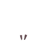 Calcetines Harlow Mini LeMieux Froostie Pony estampado Llamas damson