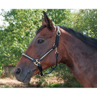 Cabezada de cuadra clincher T de T Havana oscuro / blanco Marrón