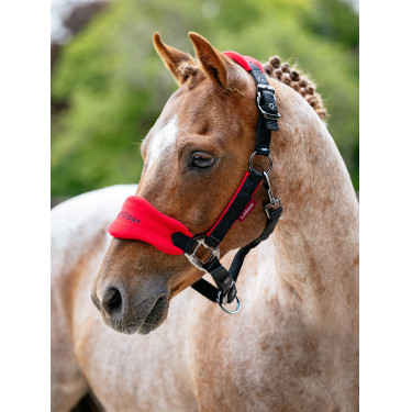 Cabezada y ramal Mini LeMieux Vogue Cabezada y ramal Mini LeMieux Vogue