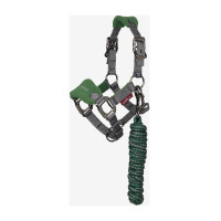 Cabezada y ramal Mini LeMieux Vogue Arándano Rosa