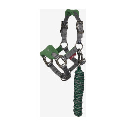 Cabezada y ramal Mini LeMieux Vogue Verde hunter Cabezada y ramal Mini LeMieux Vogue Verde hunter